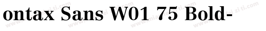 ontax Sans W01 75 Bold字体转换